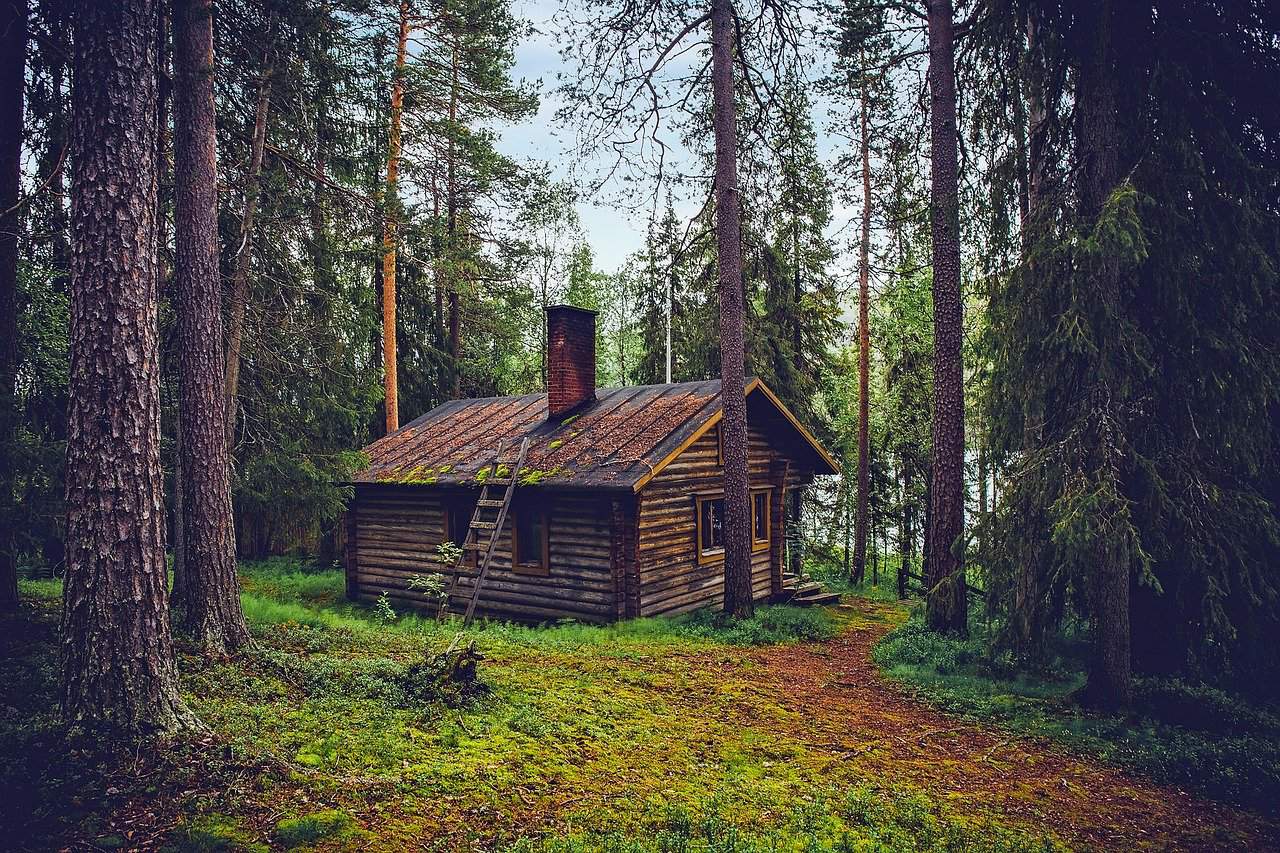 A house in the middle of a forest